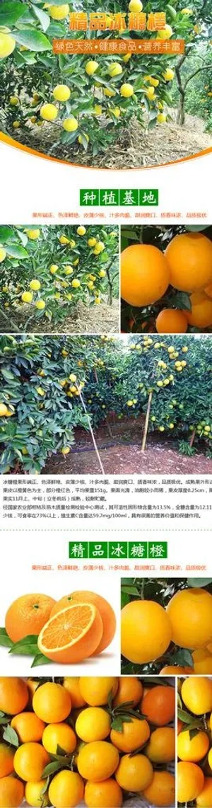 淘宝水果冰糖橙详情设计图片