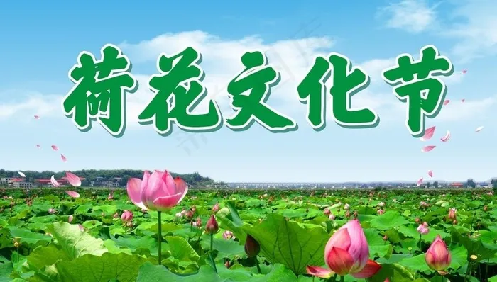 荷花图片(5000X3000)cdr矢量模版下载