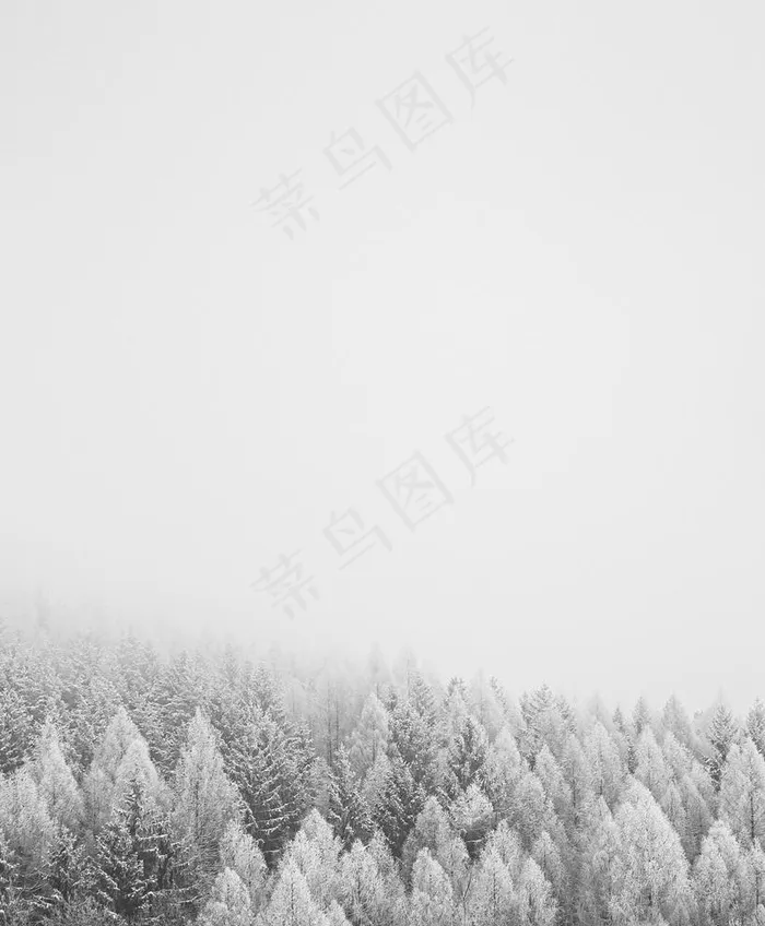 背景 壁纸 情绪风景摄影图片