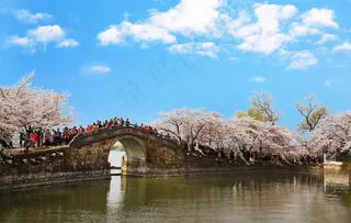 太湖鼋头渚图片