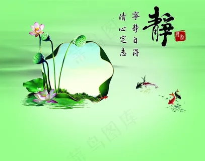 静中荷图片 静中荷图片