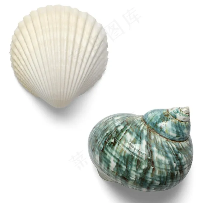 贝壳图片psd模版下载