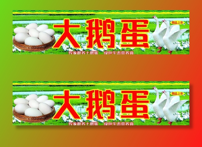 大鹅蛋图片cdr矢量模版下载