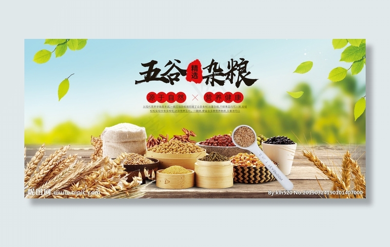 五谷杂粮图片