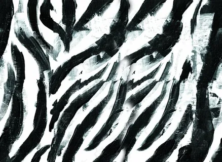 斑马纹图片 斑马纹图片