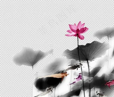 水墨荷花 粉色荷花  荷花意境图片