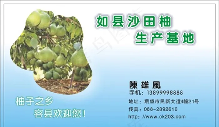 水果名片图片cdr矢量模版下载