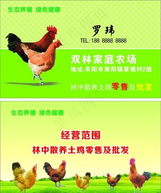 养鸡农场名片图片