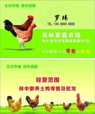 养鸡农场名片图片