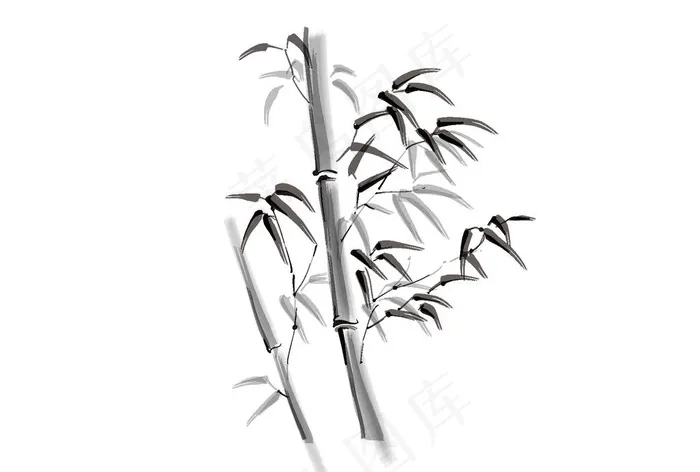 竹子图片ai矢量模版下载