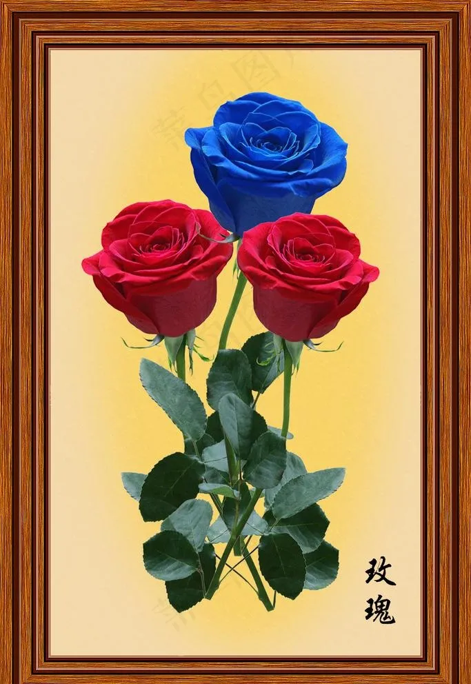 玫瑰图片psd模版下载