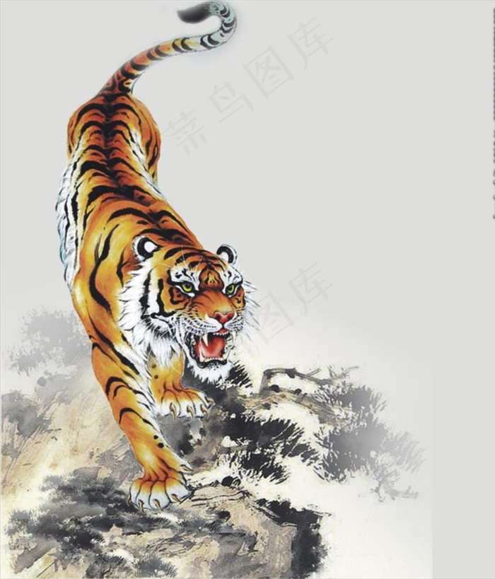 虎图片cdr矢量模版下载