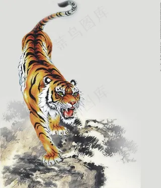 虎图片