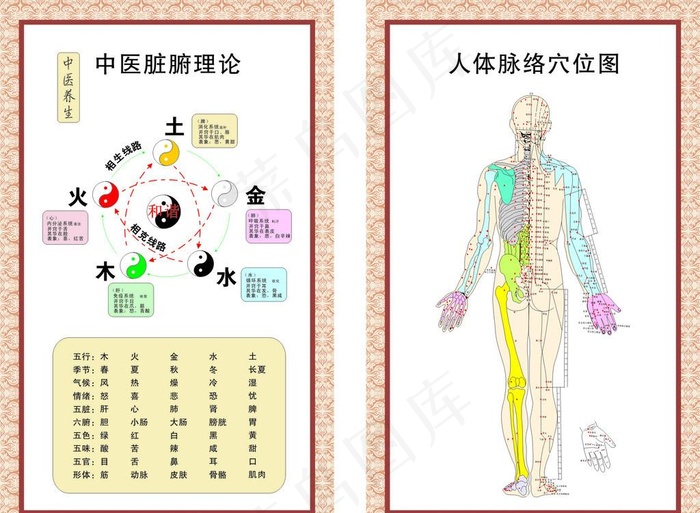 中医脏腑理 人体脉络图片