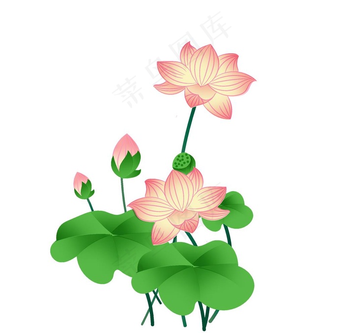 中国风之水彩手绘荷花插画图片