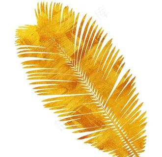 金色叶子图片