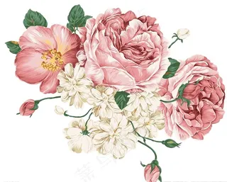 手绘牡丹花图片