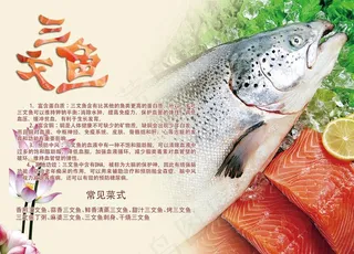 三文鱼图片