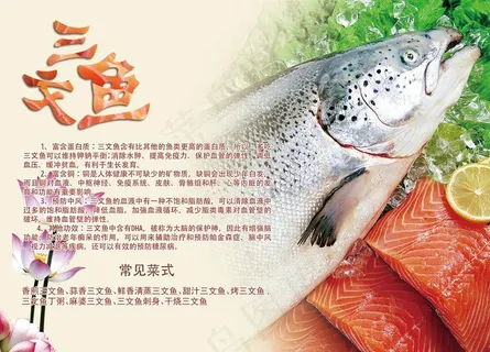 三文鱼图片 三文鱼图片