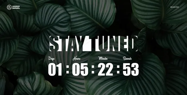 大气网页设计图片