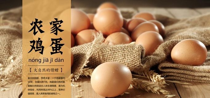土鸡蛋海报图片