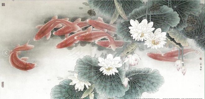 锦鲤图片 锦鲤图片