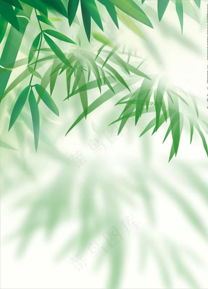 竹子图片(1701X2268(DPI:72))psd模版下载