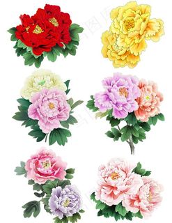 手绘花草  牡丹花园    元图片