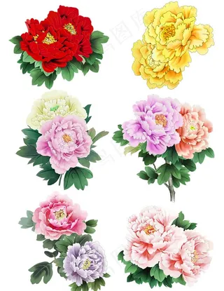 手绘花草  牡丹花园    元图片