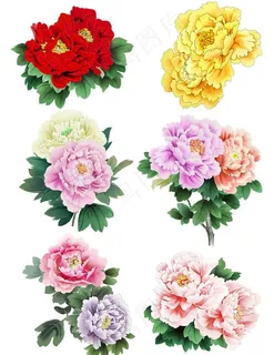 手绘花草  牡丹花园    元图片 手绘花草  牡丹花园    元图片