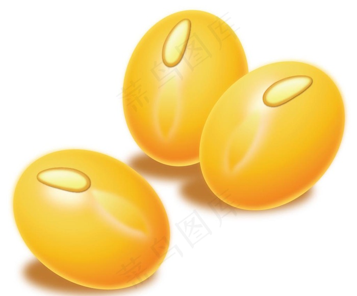 黄豆 大豆矢量图图片