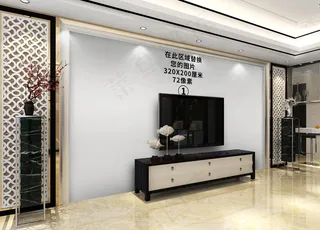 电视背景墙场景图片