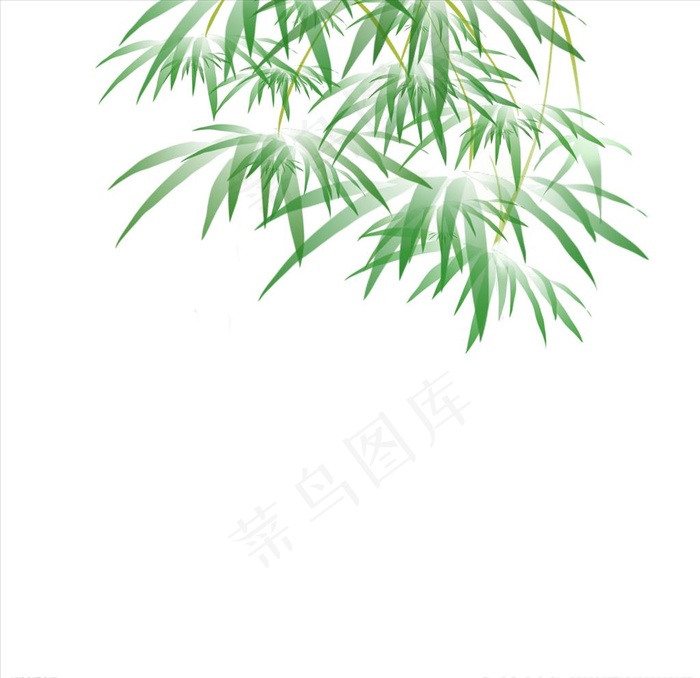 竹叶图片