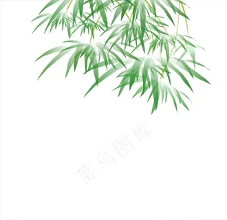 竹叶图片