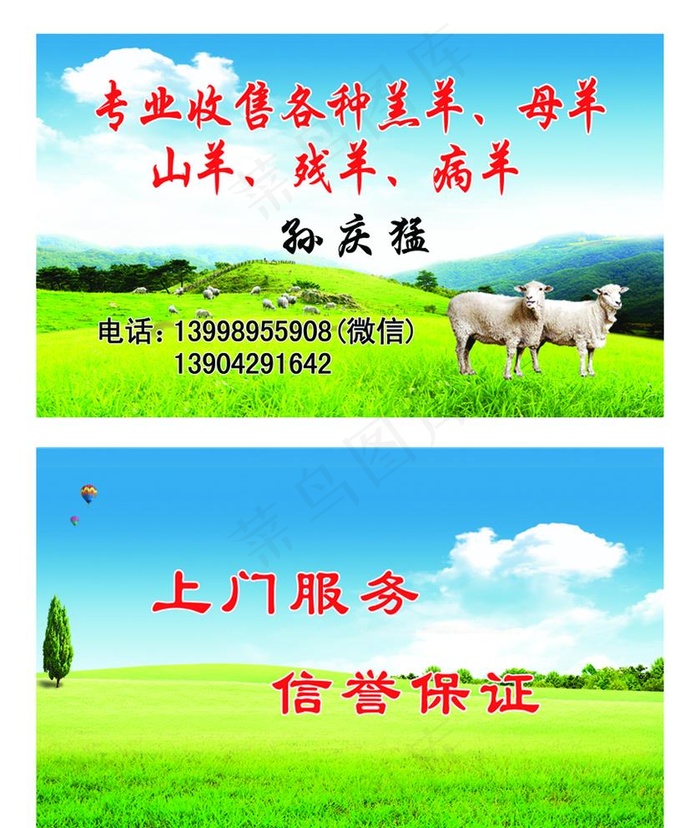 收兽羊名片图片psd模版下载