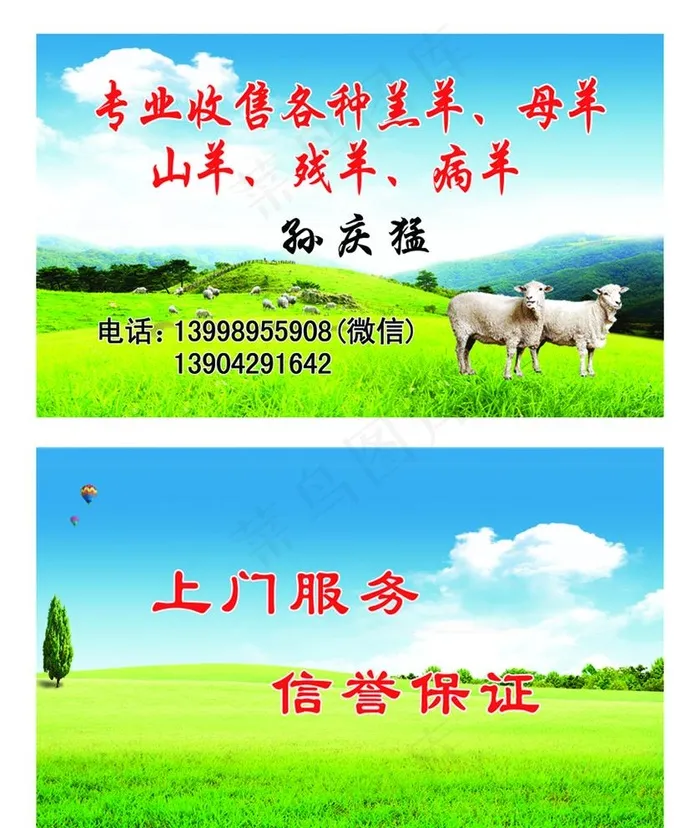 收兽羊名片图片psd模版下载