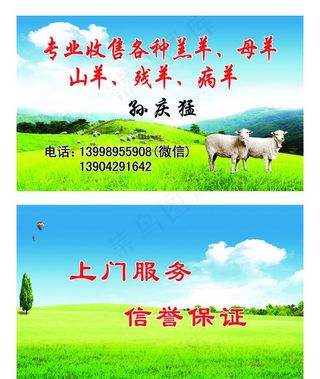 收兽羊名片图片