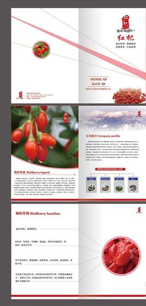 枸杞 养生 宁夏枸杞 封面封底图片