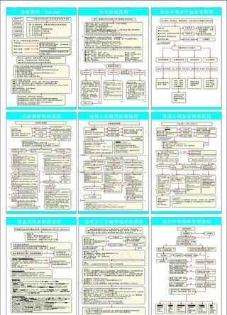 急救流程图图片