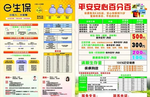e生保安心百分百宣传单图片