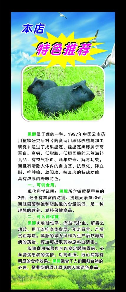 黑豚图片cdr矢量模版下载