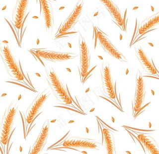 小清新手绘风小麦装饰图案图片