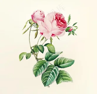花纹图片 花纹图片