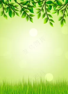 绿色背景图片 绿色背景图片