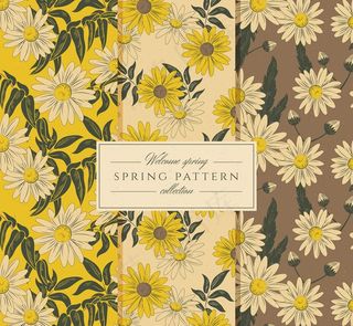 3款手绘复古春季菊花无缝背景图片