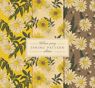 3款手绘复古春季菊花无缝背景图片