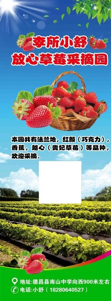 草莓园图片(2268X5669(DPI:72))psd模版下载