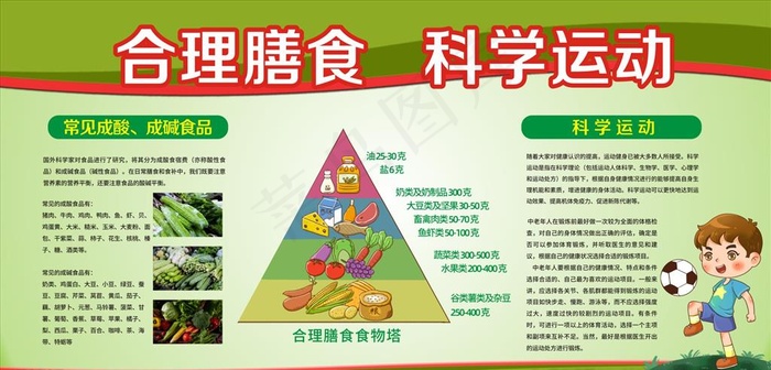 合理膳食图片