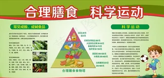 合理膳食图片
