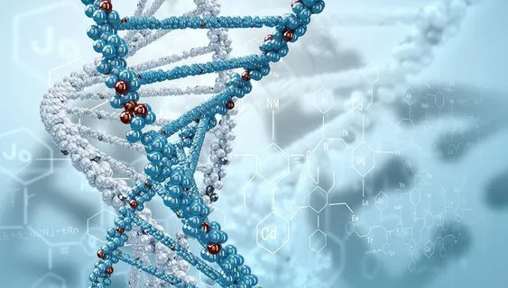 遗传基因图片